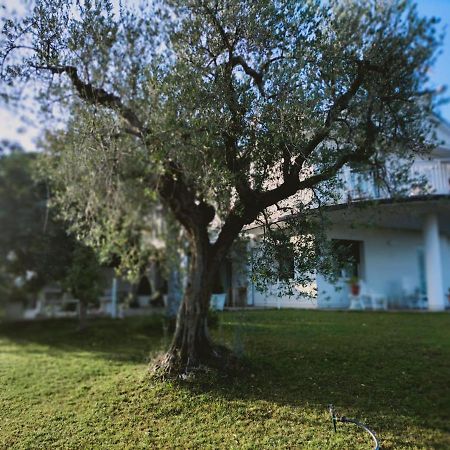 Villa Margherita San Giovanni Teatino Extérieur photo