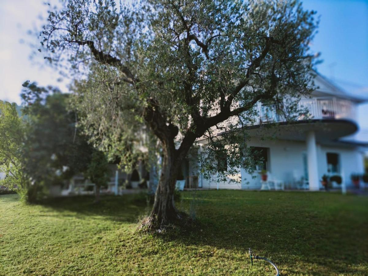 Villa Margherita San Giovanni Teatino Extérieur photo